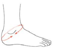 0008000.jpg 0008000.jpg